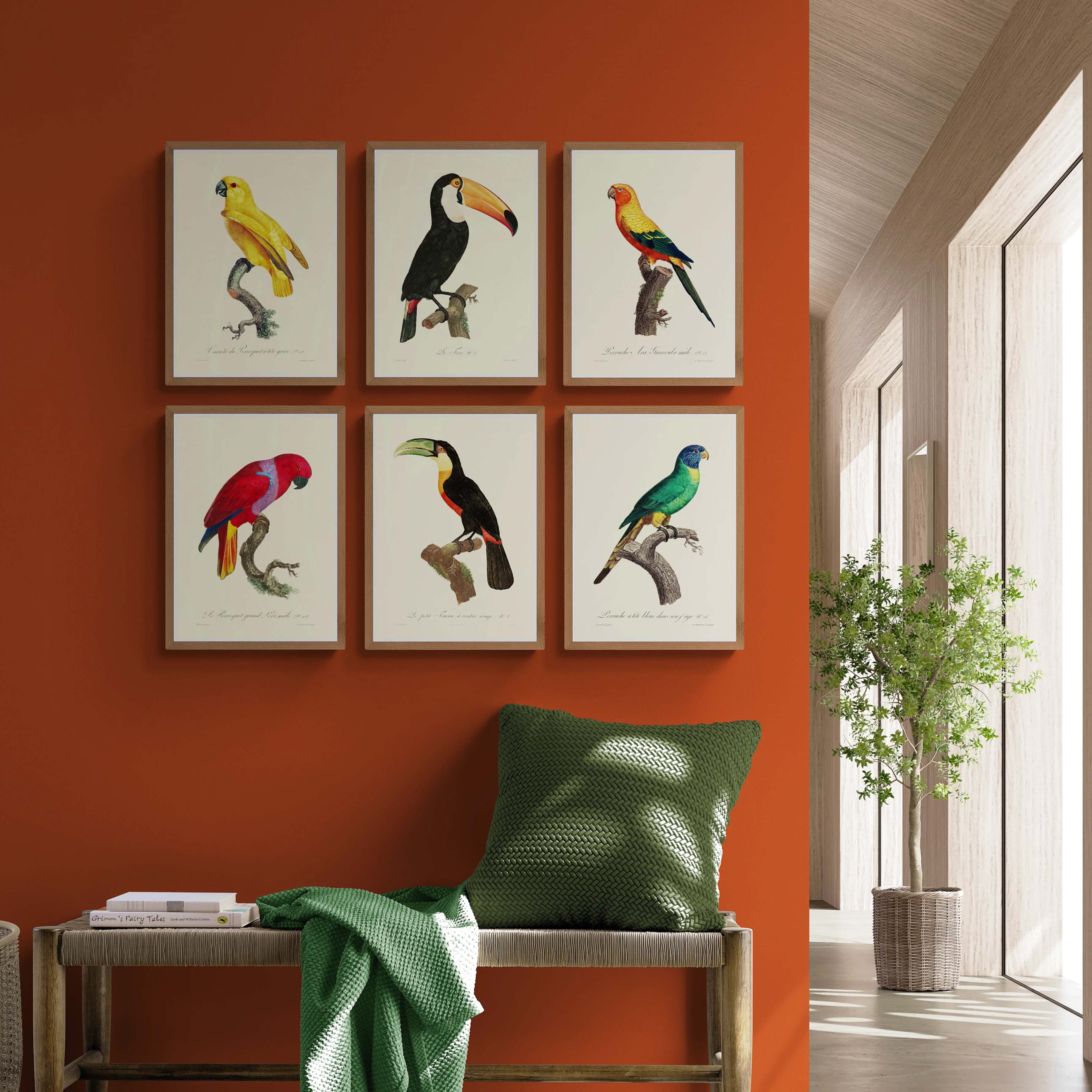 Affiches Oiseaux